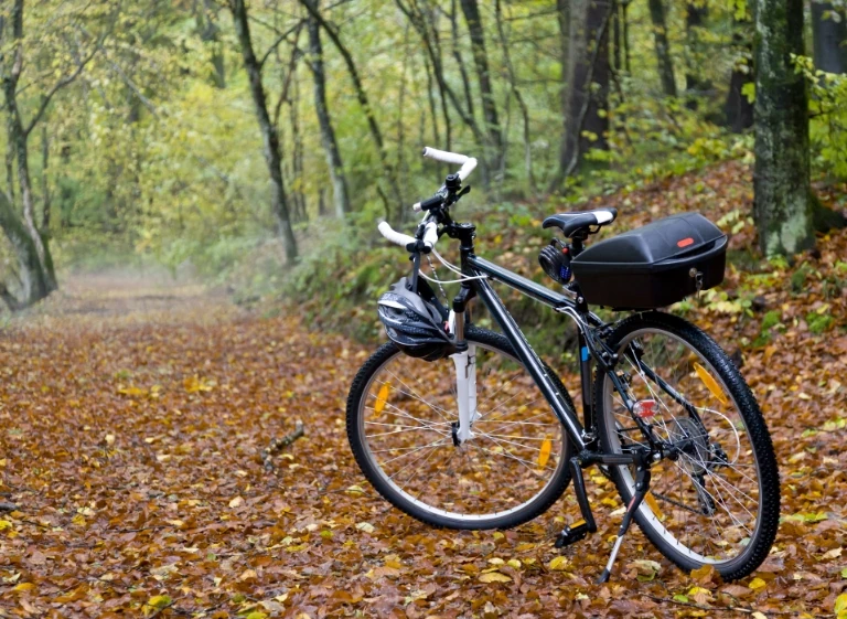 rower w na wyciecze w lesie